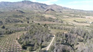 Vista aérea de un paisaje rural de la Región de Murcia con pinares, cultivos y sierras al fondo
